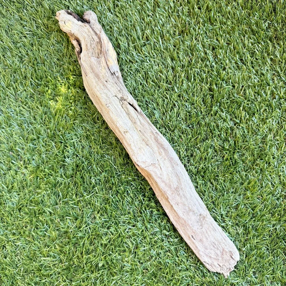 2 Natural Driftwood Pieces California Coast Rustic Beach Decor Aquarium Art